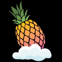 Pineapple Cloud - Recruitment Agency Profile