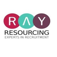 Ray Resourcing Experts Ltd - Recruitment Agency Profile