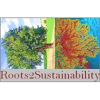 Roots2Sustainability - Recruitment Agency Profile