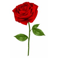 Rose Talent Academy - Trainee Recruitment Consultant Selection Days - Recruitment Agency Profile