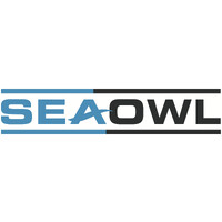 SeaOwl Energy Services Tanzania - Recruitment Agency Profile