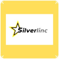silverlinc_Solutions - Recruitment Agency Profile