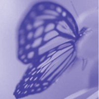 Sophie Bell and Associates - Recruitment Agency Profile