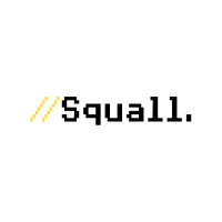 Squall - Recruitment Agency Profile