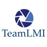 TeamLMI - Recruitment Agency Profile
