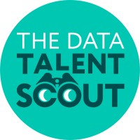 The Data Talent Scout - Recruitment Agency Profile