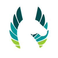 The Pegasus Agency - Recruitment Agency Profile