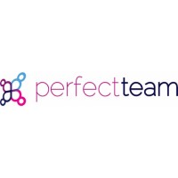 The Perfect Team - Recruitment Agency Profile