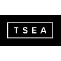 The Search Engine Associates - Recruitment Agency Profile