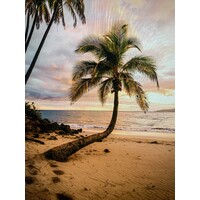 Trilogy Partners, LLC - Recruitment Agency Profile