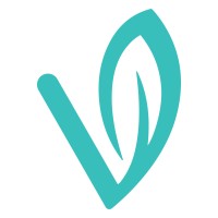 Vine Recruitment Solutions Ltd - Recruitment Agency Profile