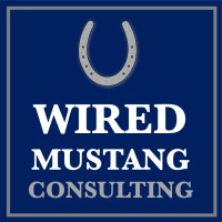 Wired Mustang Consulting - Recruitment Agency Profile