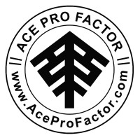Ace Pro Factor - Recruitment Agency Profile