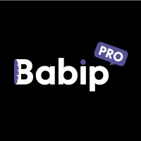 Babip Pro - Recruitment Agency Profile