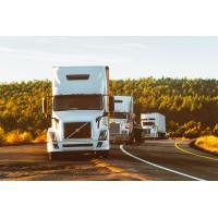 Bliss Trucker - Recruitment Agency Profile
