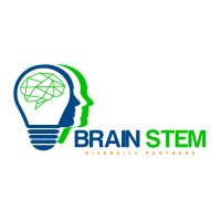 Brain Stem Diversity Partners - Recruitment Agency Profile