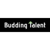 Budding Talent Partners - Recruitment Agency Profile