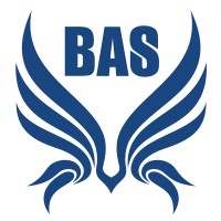 Business Acquisition Solutions - Recruitment Agency Profile