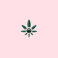 Cannabis Staffing Group - Recruitment Agency Profile