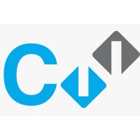 Capital-N - Recruitment Agency Profile
