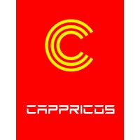 Cappricos Technology Solutions - Recruitment Agency Profile