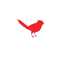 Cassie's Cardinals - Recruitment Agency Profile
