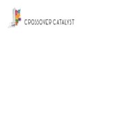Crossover Catalyst - Recruitment Agency Profile