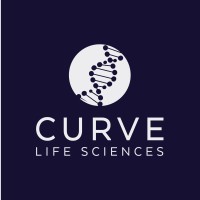 Curve Talent - Recruitment Agency Profile