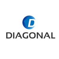 Diagonal Software Private Limited - Recruitment Agency Profile
