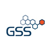 GSS - Recruitment Agency Profile