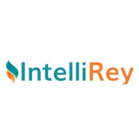 IntelliRey IT Solutions Private Limited - Recruitment Agency Profile