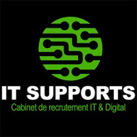 ITSUPPORTS - Recruitment Agency Profile