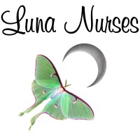 Luna Nurses - Recruitment Agency Profile