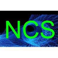 Nelty Cad Services LLC - Recruitment Agency Profile