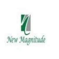 New Magnitude Consultant - Recruitment Agency Profile
