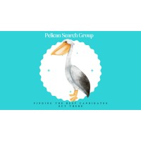 Pelican Search Group - Recruitment Agency Profile