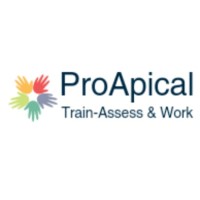 ProApical Infonet Pvt Ltd - Recruitment Agency Profile