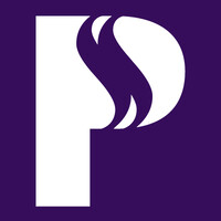 Professional Staffing Solutions - Recruitment Agency Profile