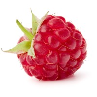 RASPBERRY RECRUITMENT - Recruitment Agency Profile