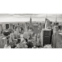 Sentient Partners - Recruitment Agency Profile