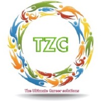 Talent Zone Consultant - Recruitment Agency Profile