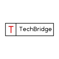 TechBridge Inc. - Recruitment Agency Profile