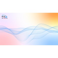 Techecs - Recruitment Agency Profile