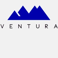 Ventura Partners, Inc. - Recruitment Agency Profile