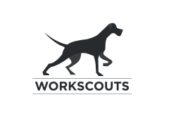 WorkScouts - Recruitment Agency Profile