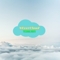 4EverCloud Technologies & Resources - Recruitment Agency Profile
