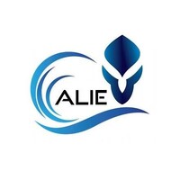 Alie Surfboards - Recruitment Agency Profile