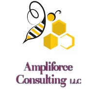 Ampliforce Consulting LLC - Recruitment Agency Profile