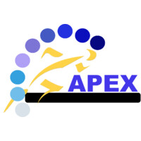 Apex talent - Recruitment Agency Profile