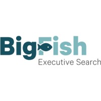 BigFish Executive Search - Recruitment Agency Profile